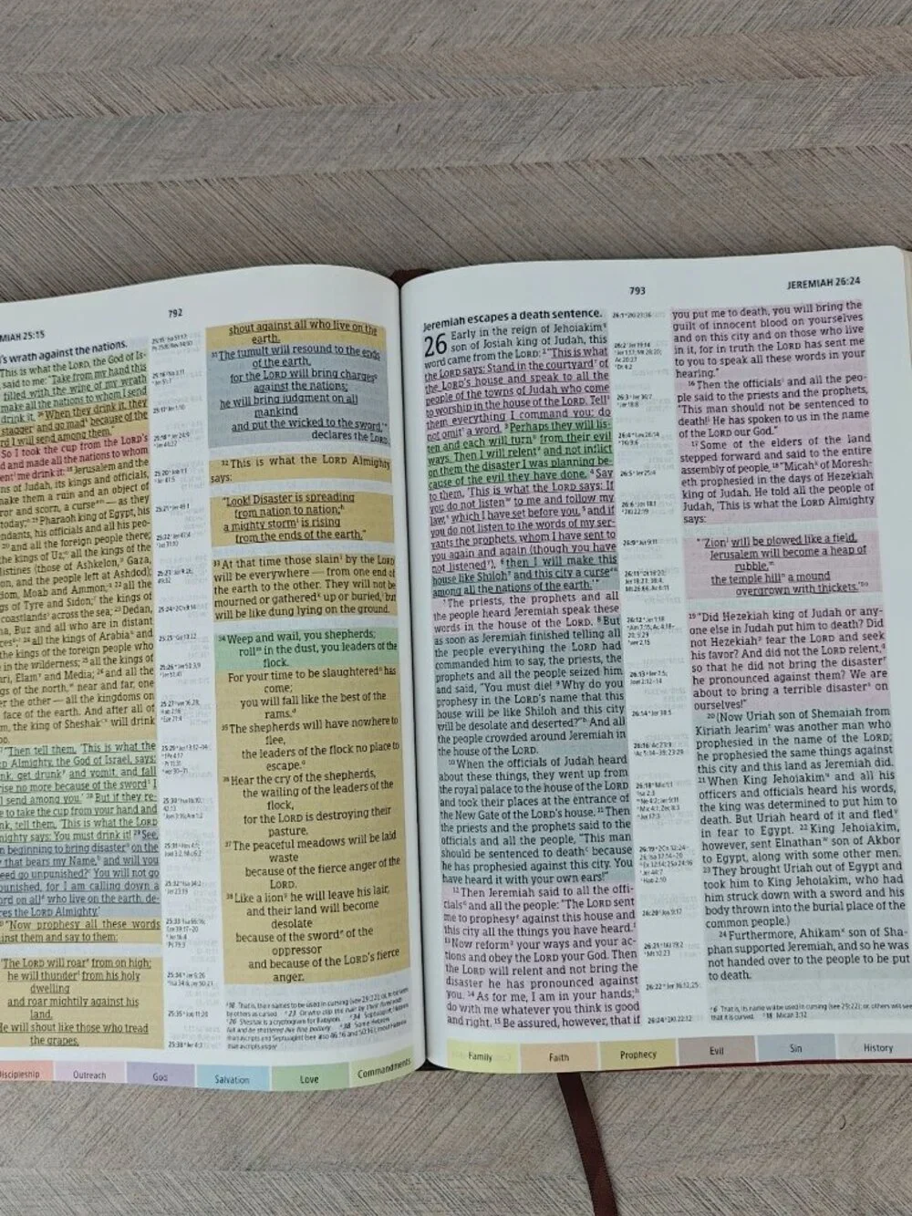 Holman Rainbow Study Bible NIV Edition 2015 Cocoa Terra Cotta LeatherTouch